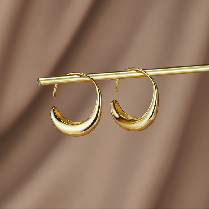 Gold Hoop Earrings - Dainty Drop Design for Everyday Elegance - Perfect Gift for Women 0